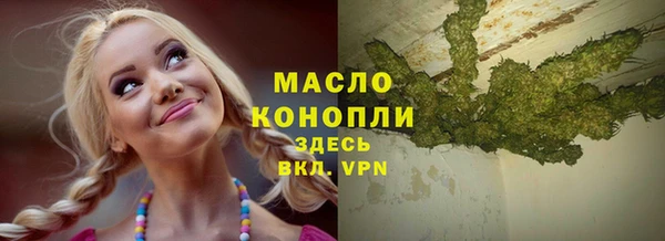 МДПВ Бородино