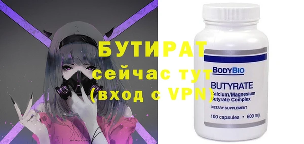 МДПВ Бородино
